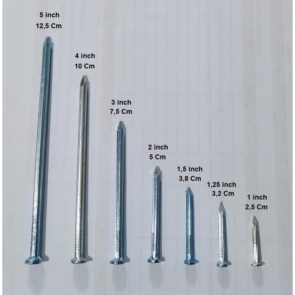 PAKU BAJA PUTIH 4CM 1½"