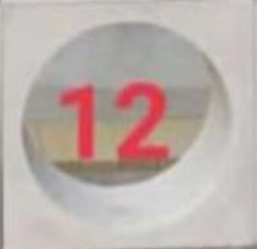 LOSTER PUTIH 20/20 OSCAR (1CRATE=10BJ)